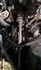 1984 Ford Bronco - Steering Column.