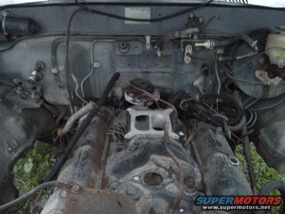 Engine bay with engine components visible, hoses, and wiring