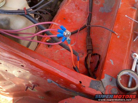 Engine bay wiring with blue connectors and red wires