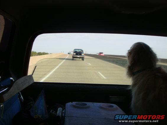 Harley watching Mike