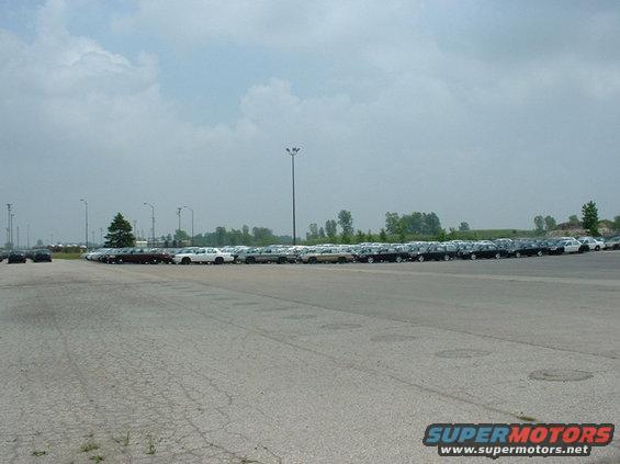 Row of 2000 Ford Crown Victorias in a parking lot