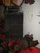 DSCN1643.JPG
