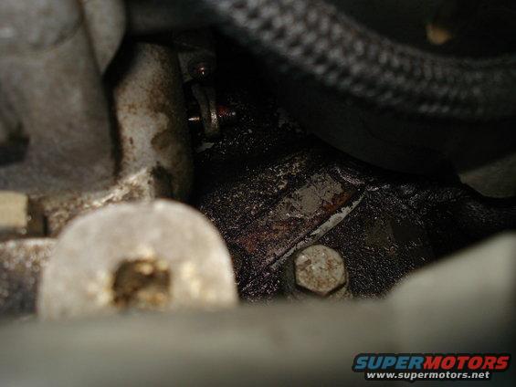 Close-up of a greasy engine component with a bolt and a braided hose