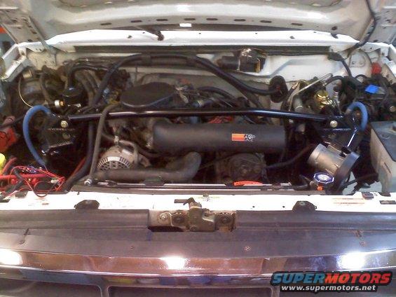 Engine bay with K&N air intake and blue hoses