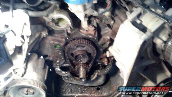 146k timing chain, shot.