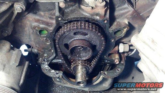 Engine timing chain and gears with oil residue