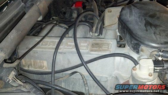 Close-up of a Ford 5.0L engine valve cover with hoses and wiring