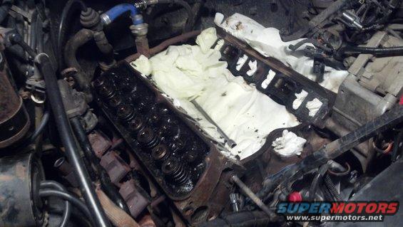 20120211_130512_228.jpg  Cleaning time!