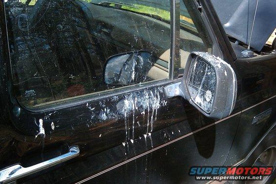 Black SUV door with bird droppings, side mirror, and a "BRONCO" badge visible