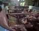 1972 Champion 181 SX - The interior of a car appears to be in a state of significant disrepair, with visible rust and debris scattered throughout.