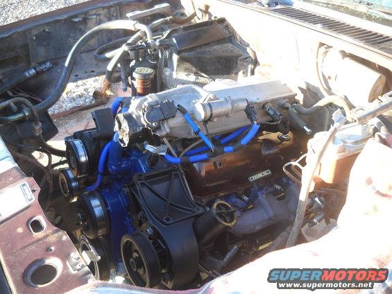 Engine bay showing engine components, blue hoses, and pulleys
