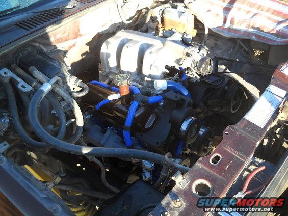 Engine bay with V6 engine, blue hoses, and intake manifold