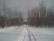 1987 Ford F-250 - A snow-covered road winds through a forest with tracks visible in the snow.