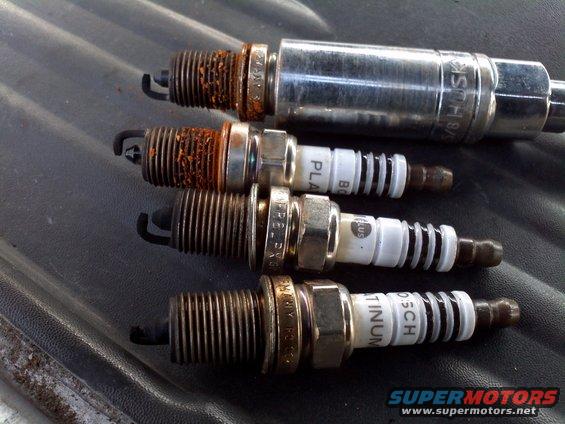 Four spark plugs, two with heavy rust and carbon buildup, two cleaner ones labeled Bosch Platinum and Bosch Platinum Plus
