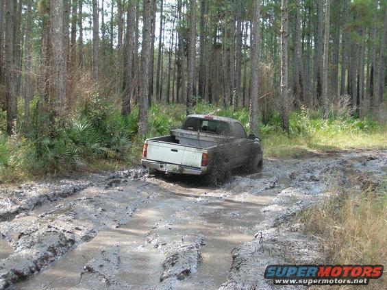 White pickup truck stuck in mud on a wooded trail
