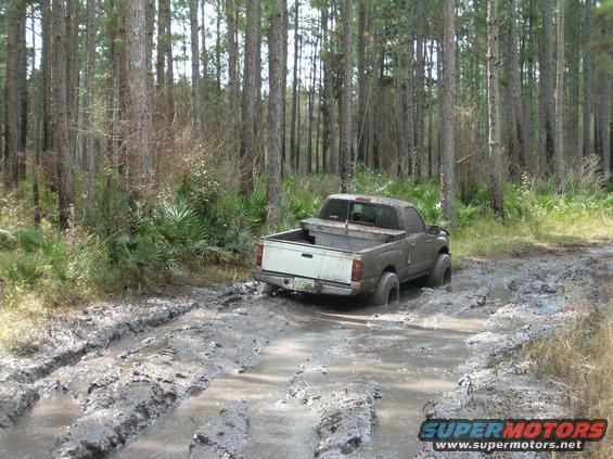 Gray pickup truck stuck in mud in a forest