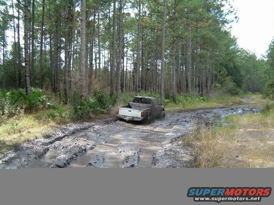 Mud-splattered pickup truck stuck in a muddy forest road