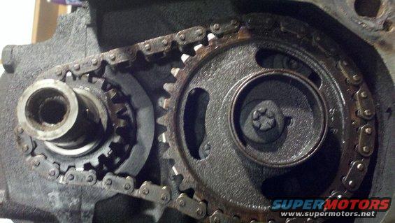 Engine timing chain and gears, close-up view, showing wear and oil