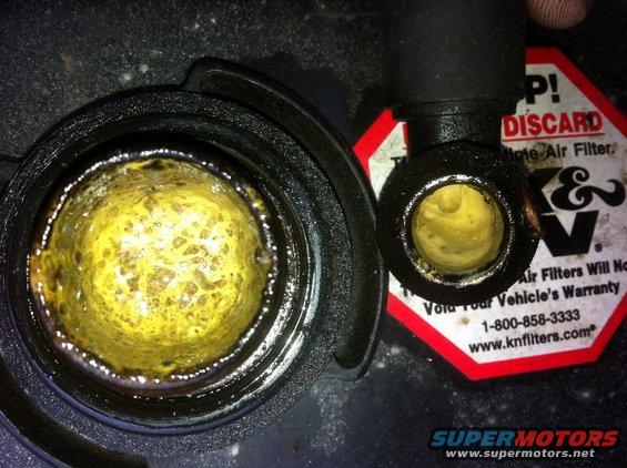 Yellow sludge in engine oil cap and coolant reservoir; K&N filter warning visible