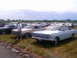 1966 Ford Galaxie photo