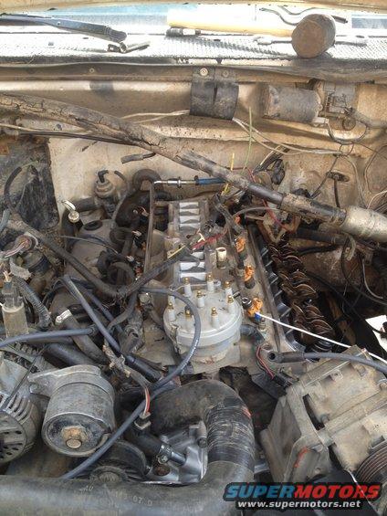 Engine bay with distributor cap, spark plug wires, and hoses visible