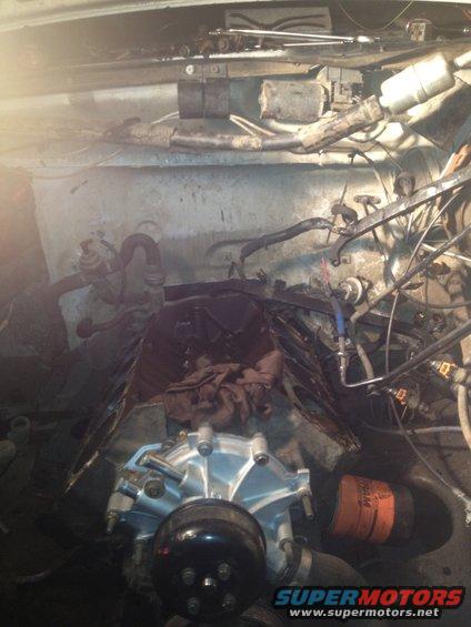Engine bay with a new water pump installed. Lots of hoses and wires visible