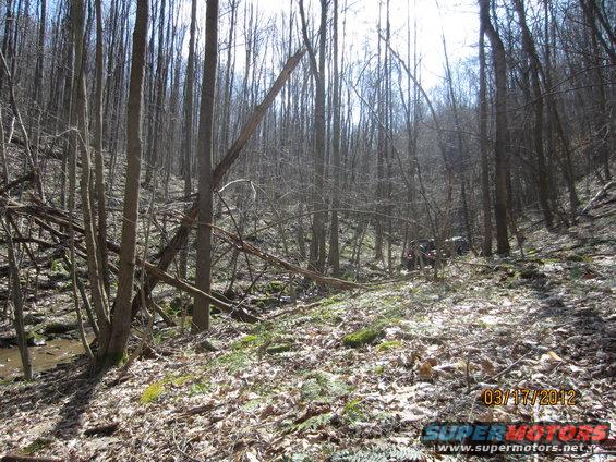 Two ATVs on a wooded trail with fallen branches and a stream