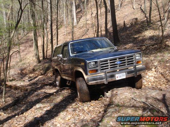 1985 Ford Bronco on a wooded trail, front 3/4 view. License plate reads 1417PF