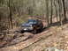 1985 Ford Bronco - A 1985 Ford Bronco navigates a wooded trail, kicking up dirt and leaves.