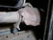 1990 Ford Bronco - The previous owner seems to have plugged the stock inlet and the routed it to the inlet on this cat.