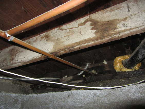 subfloor with copper pipes, black drain pipe, and insulation foam