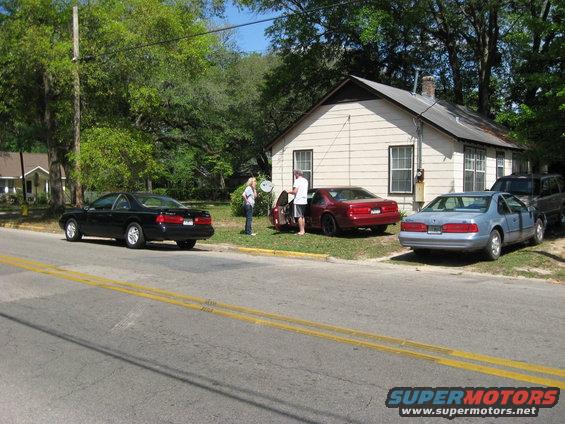 picture-017.jpg Talking Bird's