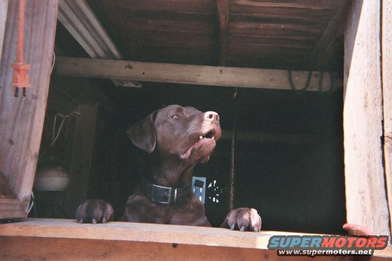 021_17a.jpg DO YOU SMELL WHAT THE ROCK IS COOKIN?