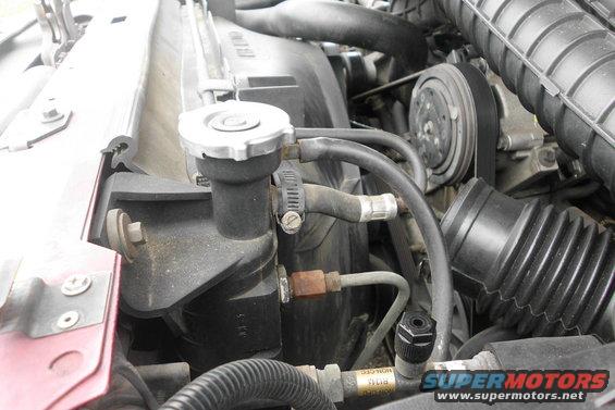 Engine bay with radiator cap, hoses, and air intake. Red fender visible on left