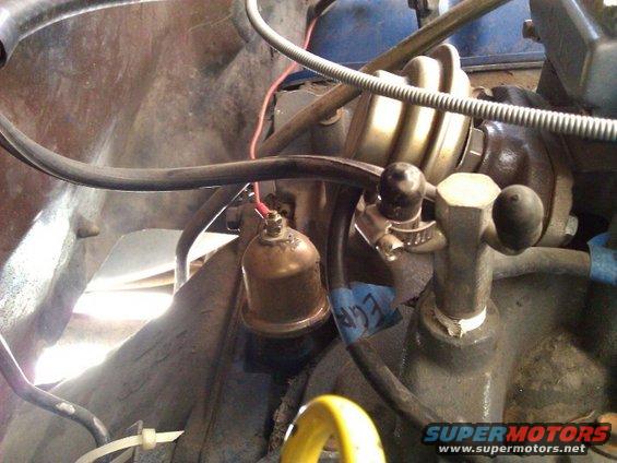 Engine bay with vacuum lines, a brass component, and a blue label reading "EGR"