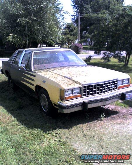 Front view of a yellow and dark green sedan with a prominent grille, parked on grass. It looks like a Ford Crown Victoria from the early 1980s