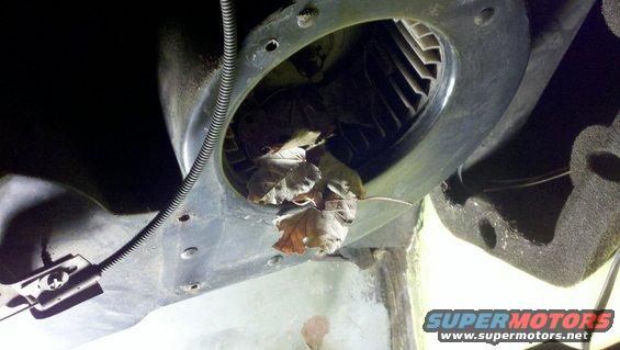 20120331_105424_616.jpg
