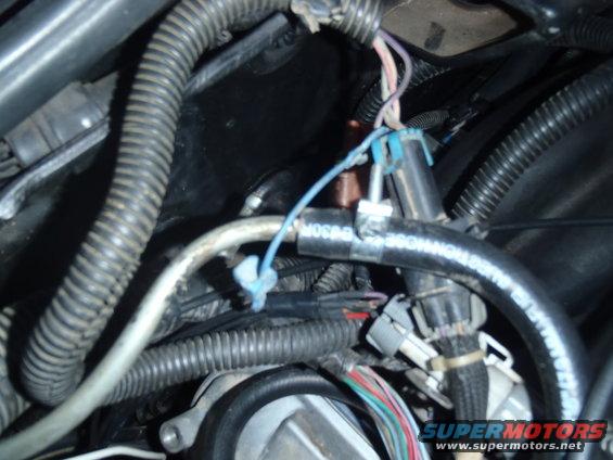 Engine bay wiring harness and rubber hoses with blue zip ties. Text on hose reads "MOS2000"