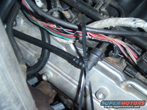 Fuel rail 90 degree fitting. Both oreillys and autozone had them in stock
