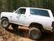 1985 Ford Bronco - White Ford Bronco with mud splatters on its side, driving on a dirt path through a wooded area.