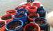 1993 Ford Bronco - A boat is loaded with numerous baskets overflowing with crawfish.
