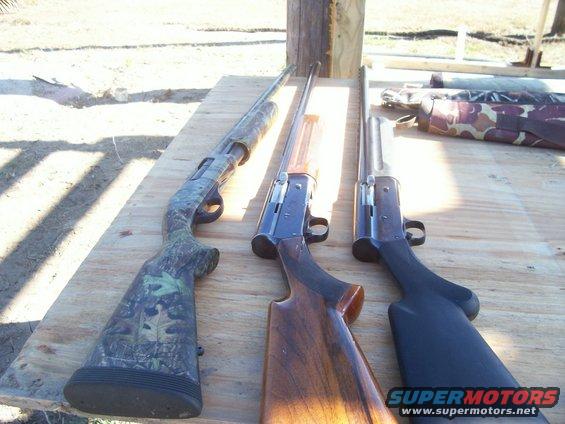Three shotguns on a wooden table, one with camouflage stock