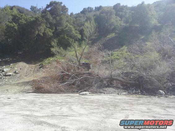 old truck partially obscured by fallen branches on a dirt road