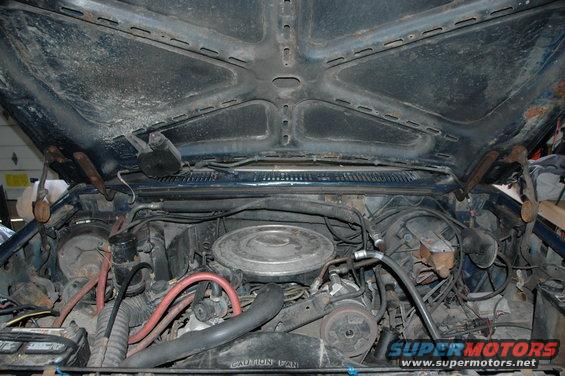 Engine bay with hood open. Shows engine, hoses, and battery