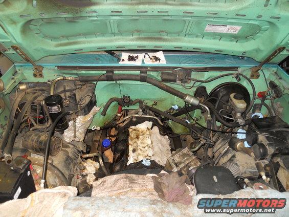 Engine bay with hoses and engine parts visible