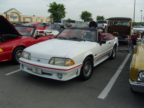 mt-juliet-cruise-2012-019.jpg 