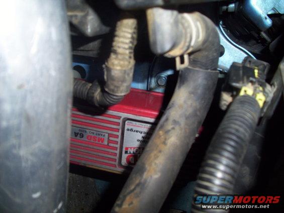 Red MSD 6A ignition box with part number 6200, hoses, and wiring in an engine bay