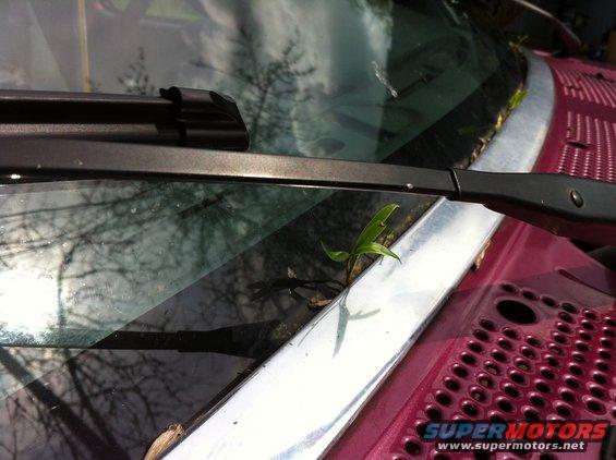 img_01751.jpg I'm environmentally friendly... sorta.