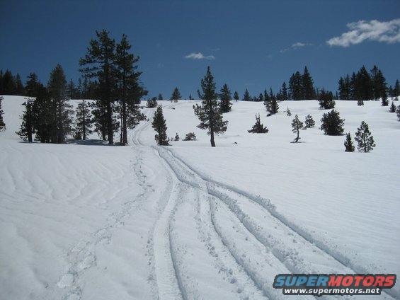 Snowy landscape with tire tracks and pine trees under a blue sky. Supermotors.net logo visible
