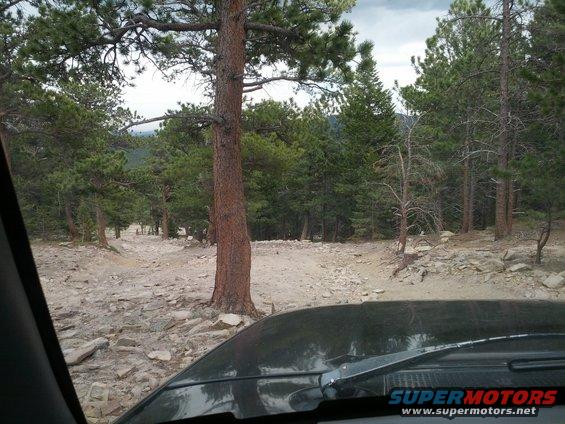 More of the 217 fork.
